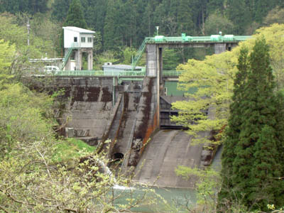 ���݉��������̉��i