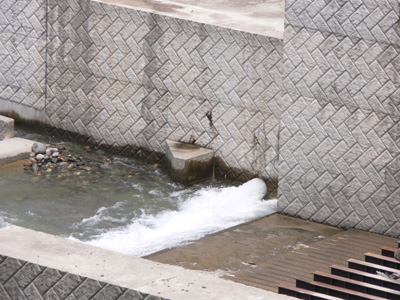 �͐�ێ��p��