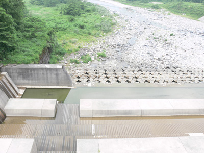 �V�[���牺��������