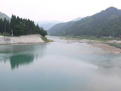 �V�[����㗬������