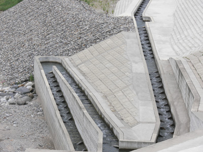 ��\��܂̋���