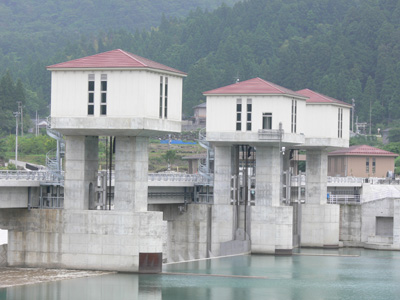 ���݂��牁�������