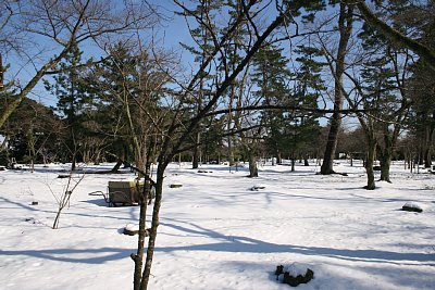 御坊跡はかなりの広さです
