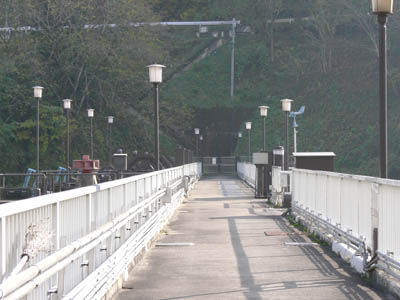 �V�[�͎c�O�Ȃ��痧���֎~�ł���