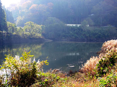 �_���΂͏��K�͂Ȃ��̂ł�