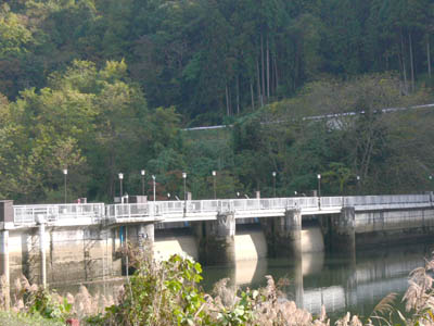 ���W�A���Q�[�g���킸���ɊJ���Ă��܂�