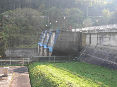 ���݂����̂�����