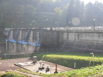 ���W�A���Q�[�g�͂R��