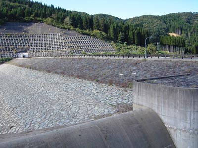 ��̏㗬���ƍ^���f