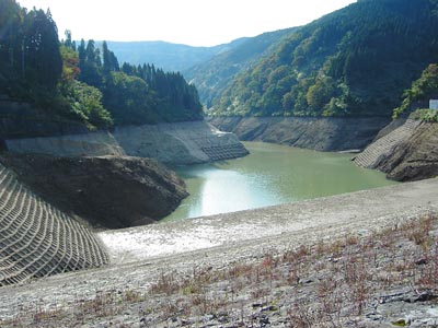 �_���΂͐������Ȃ�