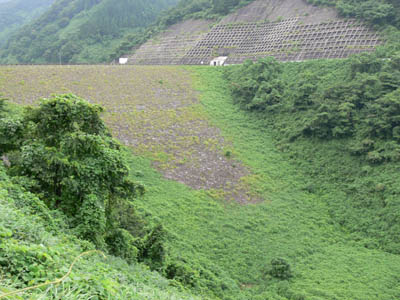 �E�݉��������̂�]��